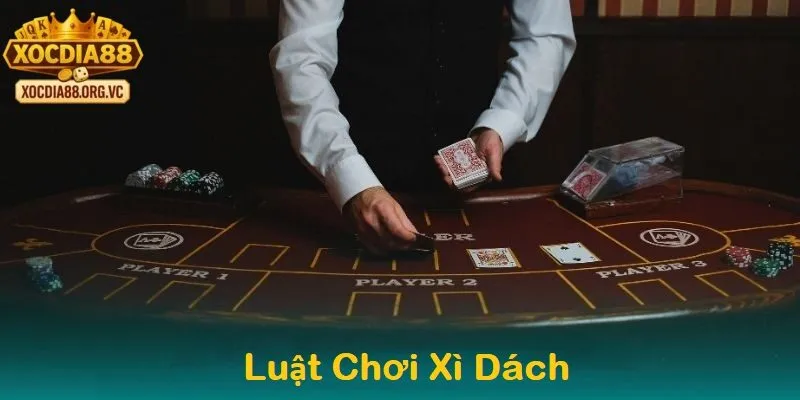 Luật chơi cơ bản và cách tính điểm trong xì dách